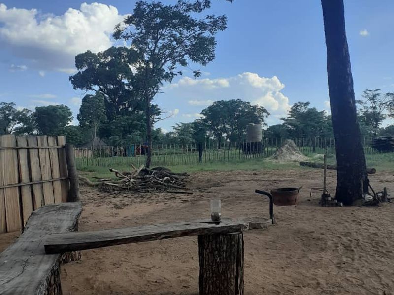 UNTOUCHED AFRICAN WILDLIFE TOURISM FARM FOR SALE OTJOZONDJUPA REGION (TSUMKWE) – NAMIBA - Photo 4