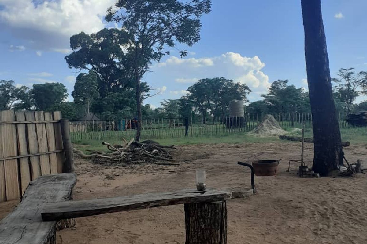 UNTOUCHED AFRICAN WILDLIFE TOURISM FARM FOR SALE OTJOZONDJUPA REGION (TSUMKWE) – NAMIBA - Photo 4