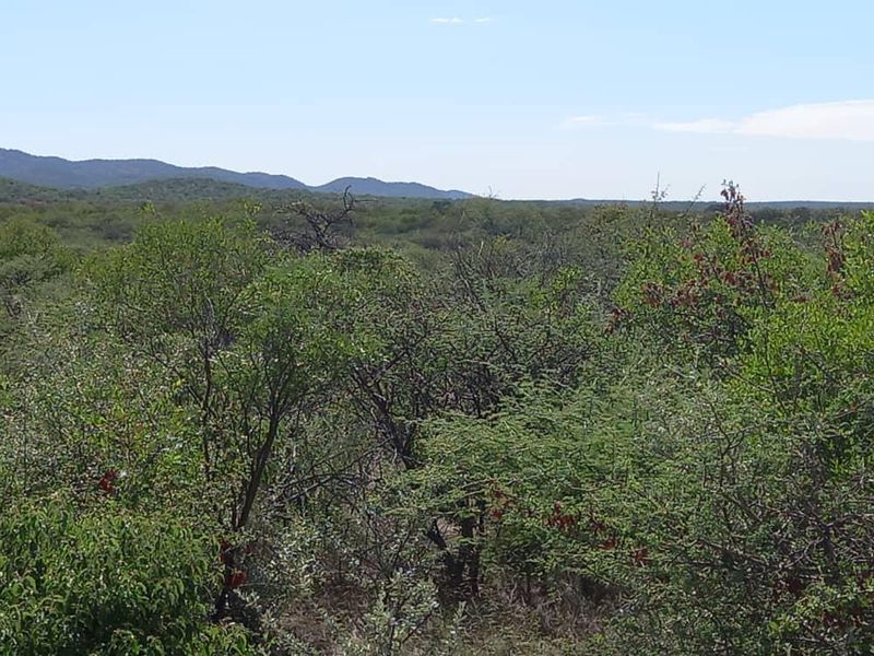 A scenic view of the natural landscape featuring dense indigenous vegetation and distant rolling hills.
