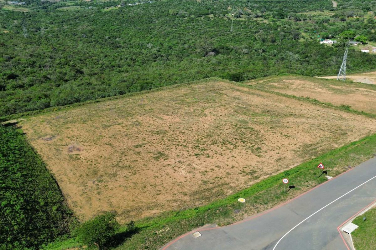 An aerial view of a large, undeveloped industrial plot of land with direct access to a paved road and surrounding natural vegetation.