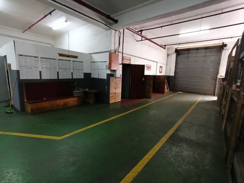 Industrial utility space featuring a large roller shutter door, exposed fire sprinkler system, and painted concrete flooring with marked walkways.
