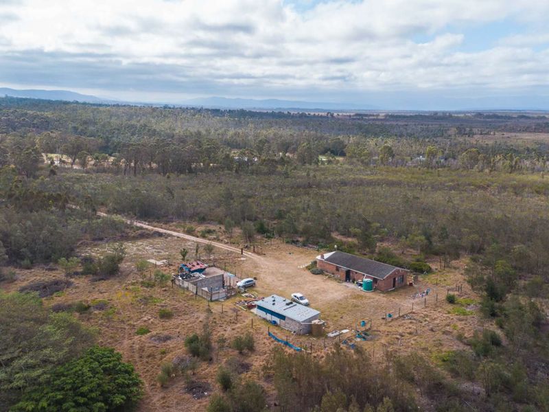 Prime 9 Hectare Smallholding | Agricultural Zoning | Port Elizabeth - Photo 6