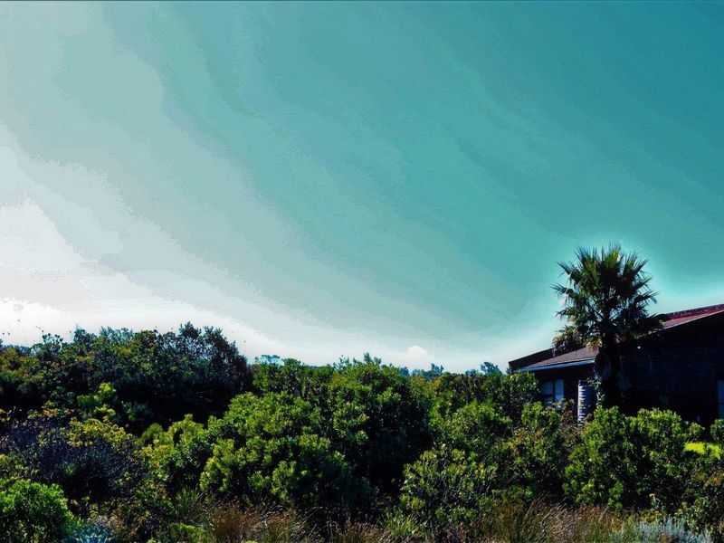 Spacious and Serene: Dana Bay's Premier Stand for Sale - Photo 6