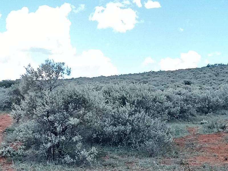 READY FOR DEVELEPMONT. 14 PLOTS . IN GAME FARM. BEAUTIFUL VIEW. - Photo 10