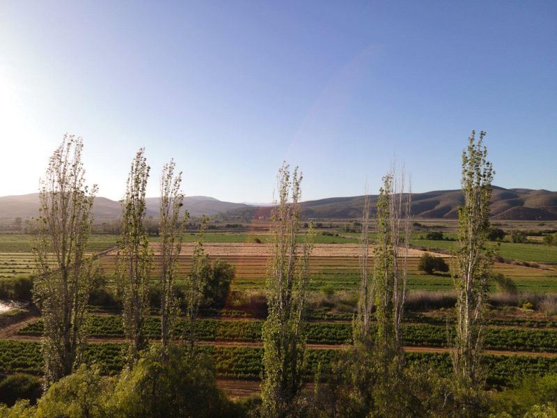 Wanted: Visionary Robust Investors/Developers!! - Photo 6