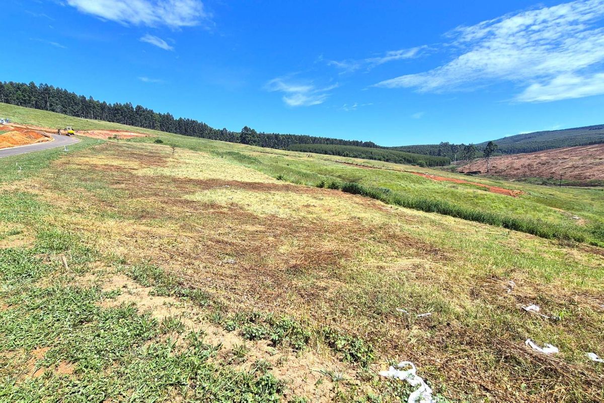 A wide-angle view of a vacant residential plot featuring sloped grassy terrain, natural landscape, and adjacent road access in a rural setting.