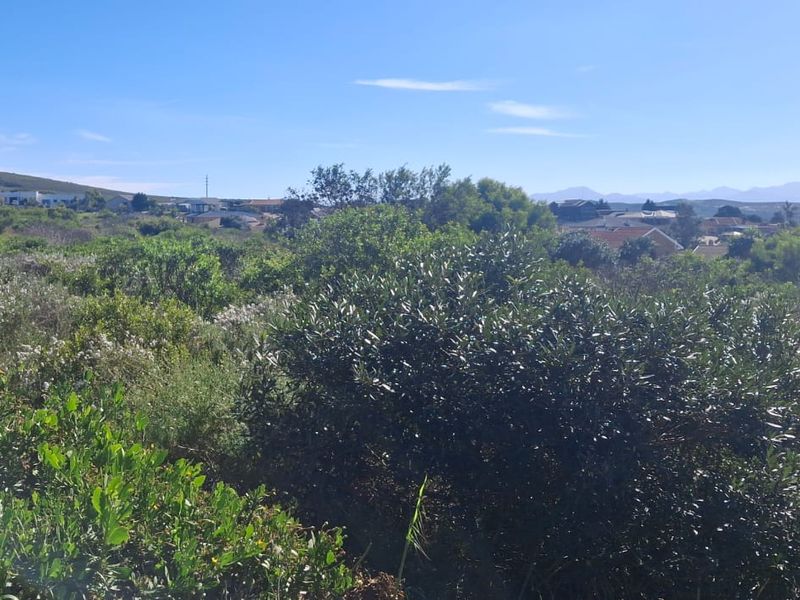 Development opportunity - Photo 4