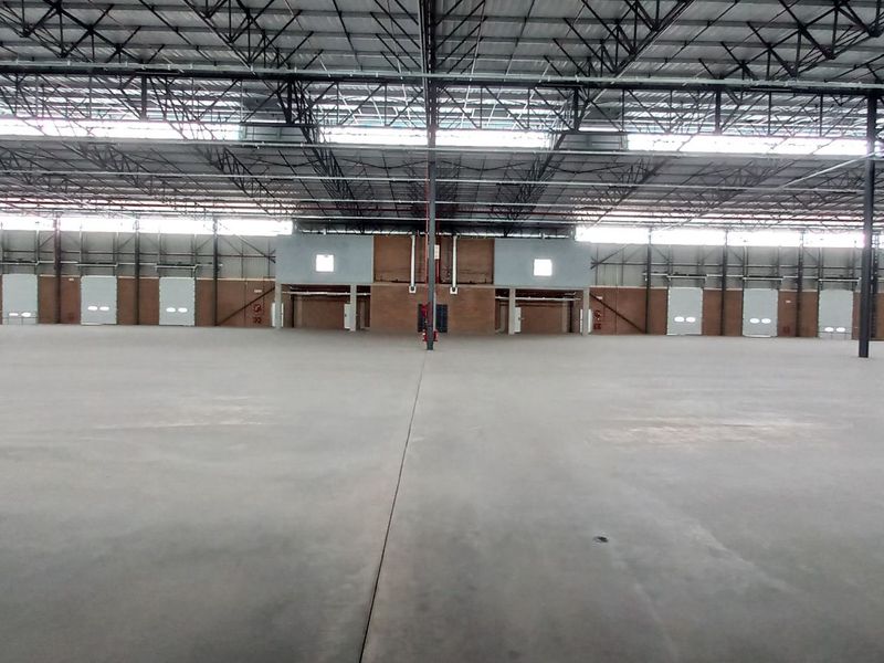 Expansive industrial warehouse space featuring high ceilings with exposed steel trusses, polished concrete flooring, and multiple roller shutter doors for efficient logistics access.