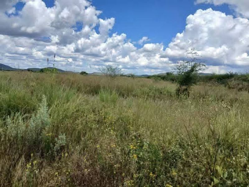 A wide-angle view of the open agricultural land featuring natural grassland and a clear sky.