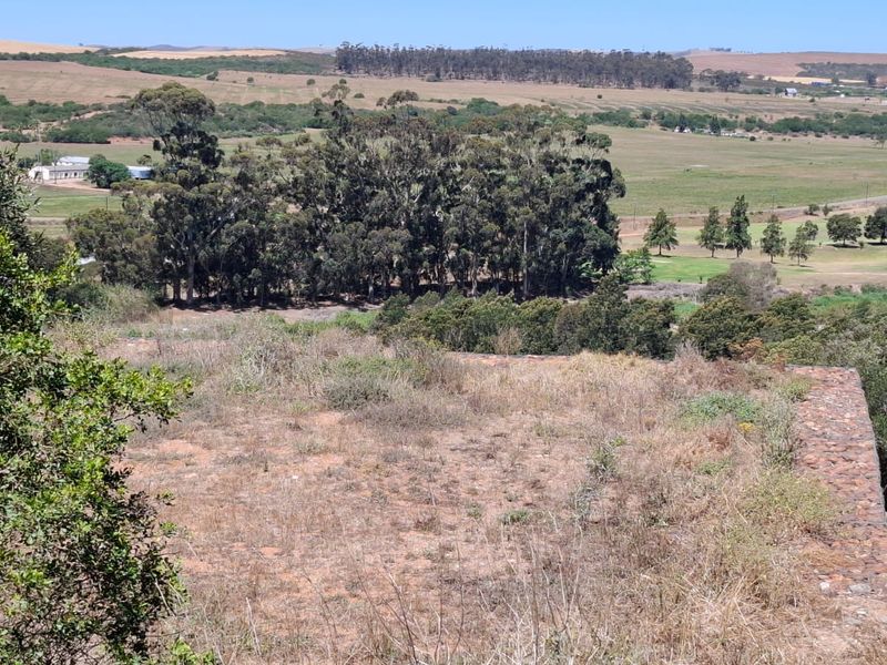 Serene Cul-de-Sac Living in Heidelberg Awaits! - Photo 3