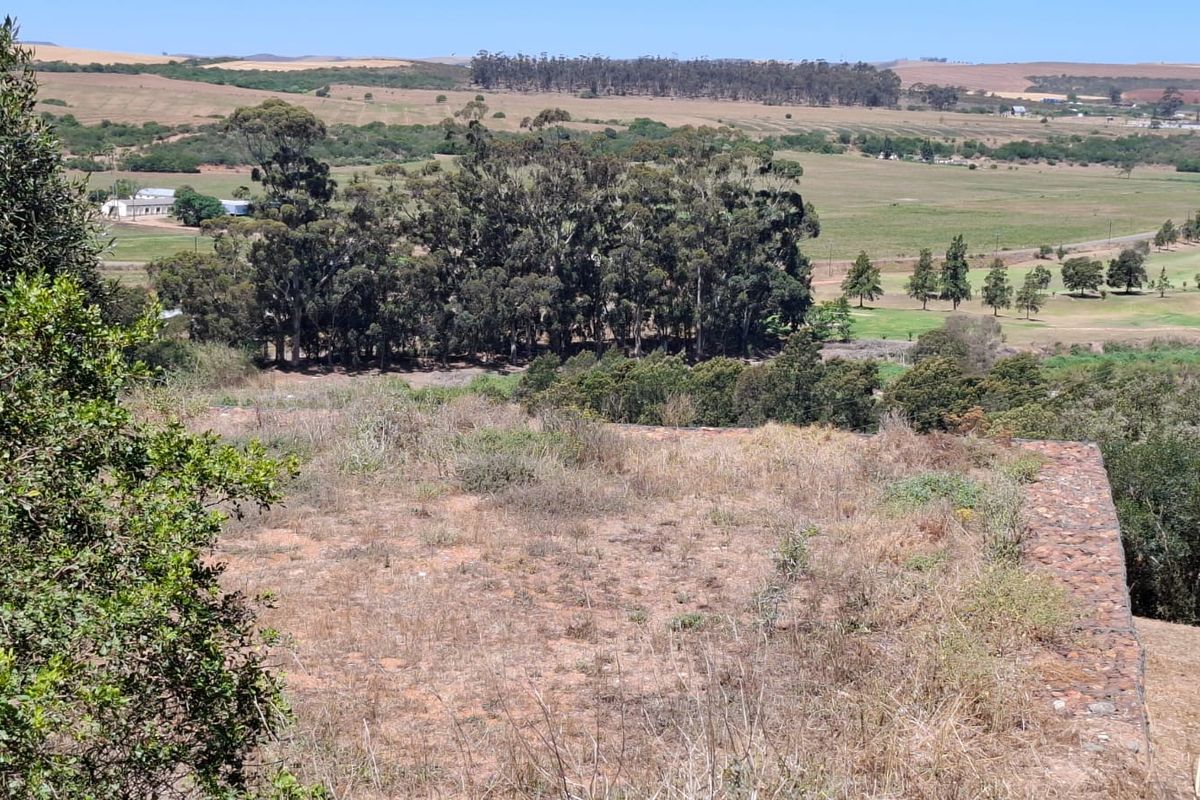 Serene Cul-de-Sac Living in Heidelberg Awaits! - Photo 3