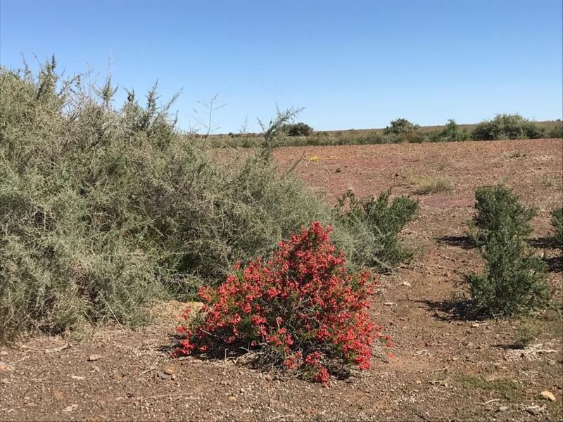 FARM FOR SALE IN KARAS REGION - Photo 2