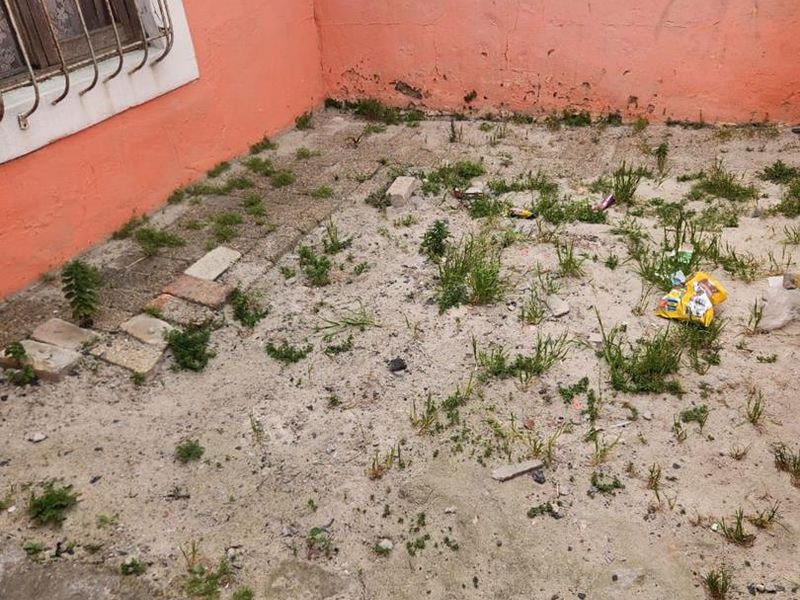 A small, neglected rear outdoor area featuring a concrete surface with weed growth and a perimeter wall showing signs of paint deterioration.