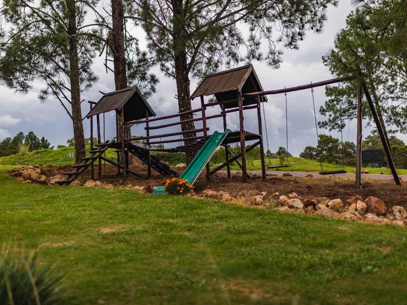 Prime Stand | Conservation Outlook | Phase 11 – Eye of Africa - Photo 9