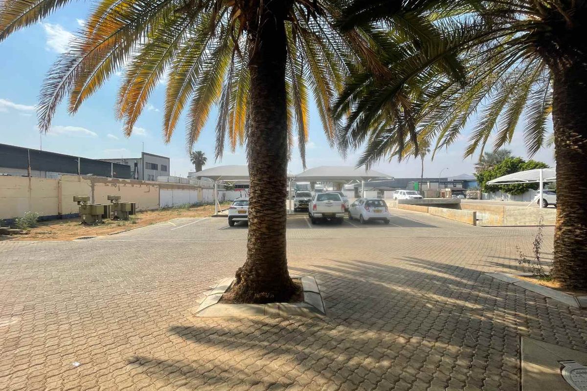 Outdoor parking area featuring paved ground, mature palm trees, and covered shade-net parking bays for vehicles.