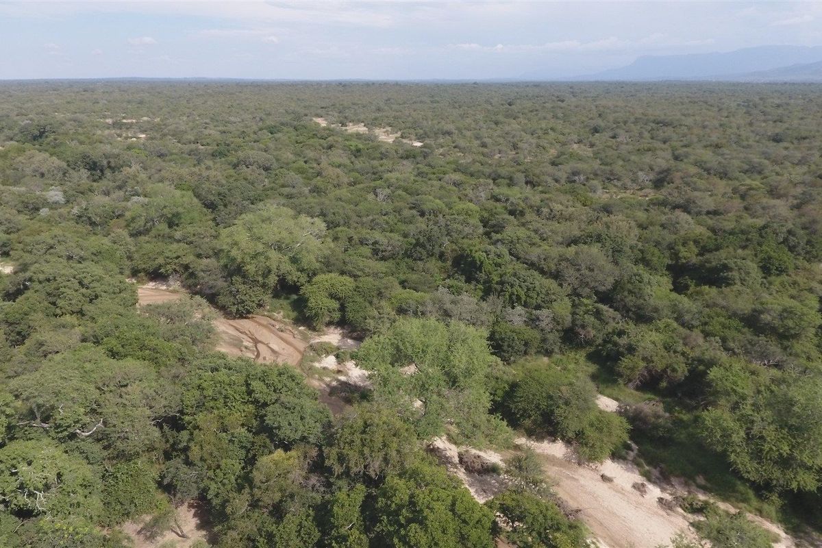 An expansive aerial view of the farm property, showcasing the natural landscape, dense indigenous bushveld, and dry riverbed terrain.