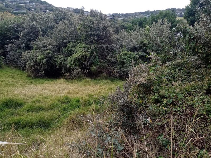 Vacant Land with Approved Architectural Masterpiece - Photo 1