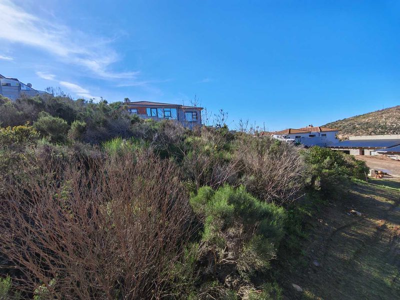 A view of a sloped, undeveloped residential plot featuring natural vegetation with neighboring properties visible in the background.