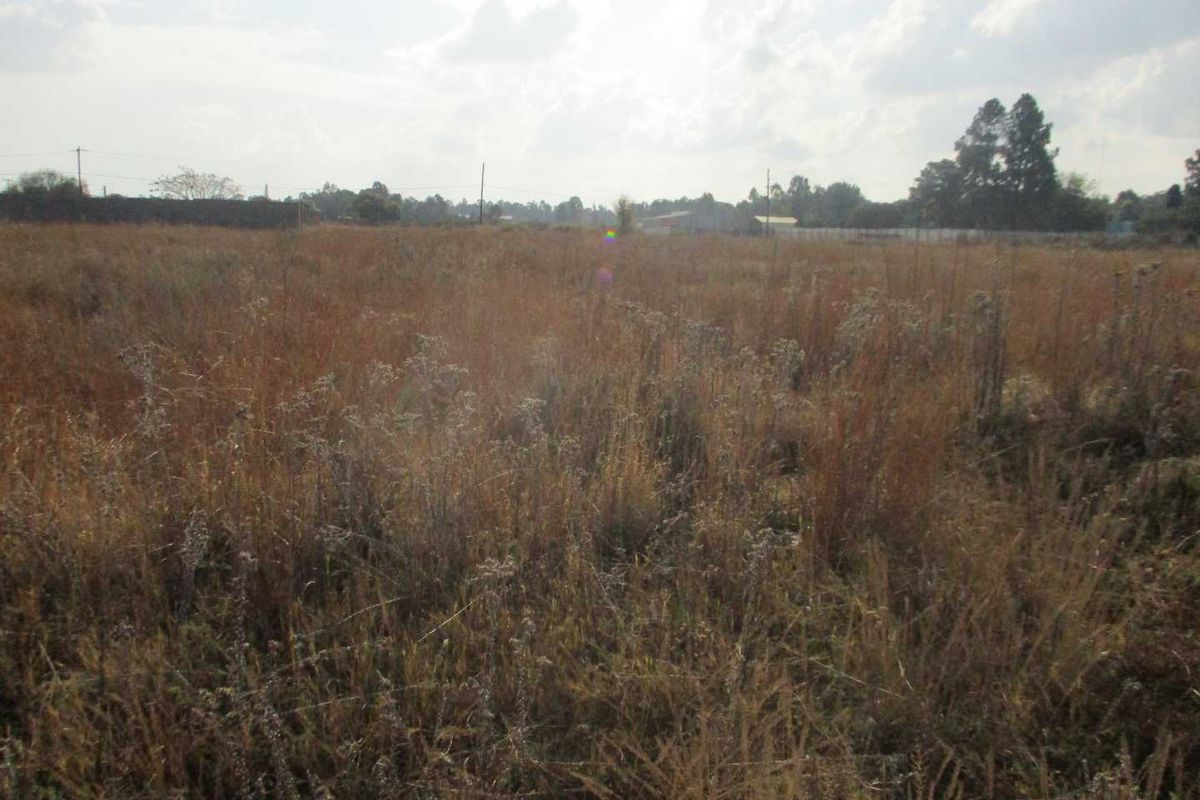 A view of a vacant residential plot featuring dry grass and open land, suitable for future development.