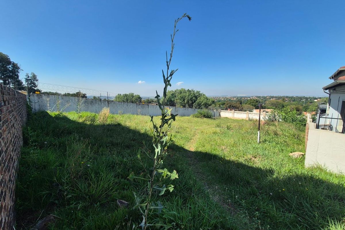 Development-Ready Panhandle Stand – 674m2 - Photo 4