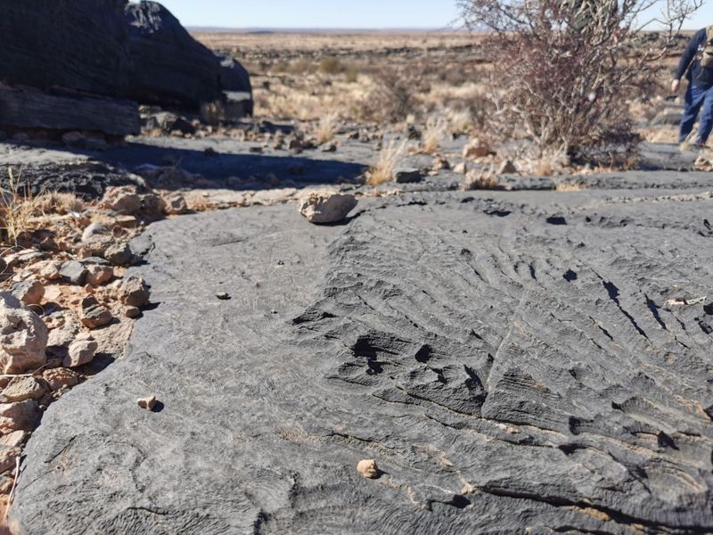 FOR SALE - GAME FARM IN THE KEETMANSHOOP AREA, NAMIBIA - Photo 10