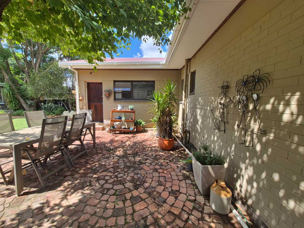 Dining under the tree at the back garden