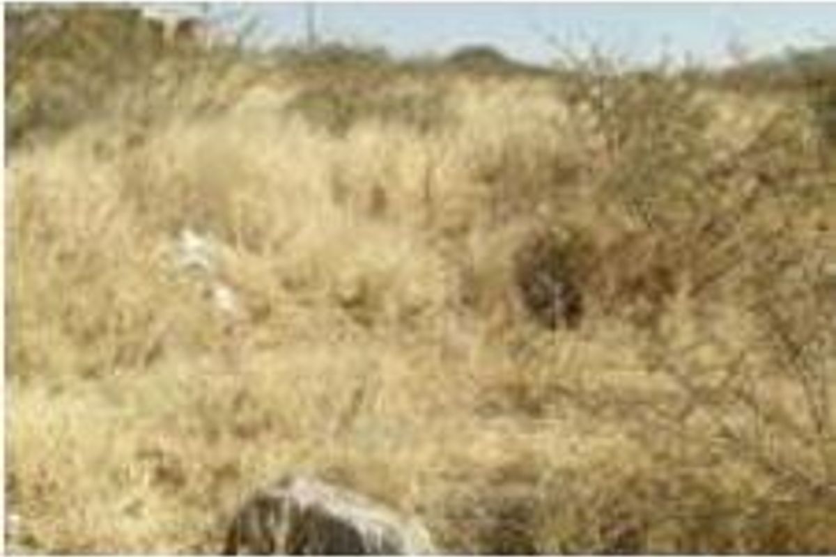 INDUSTRIAL STAND FOR SALE - OTJIWARONGO - Photo 3