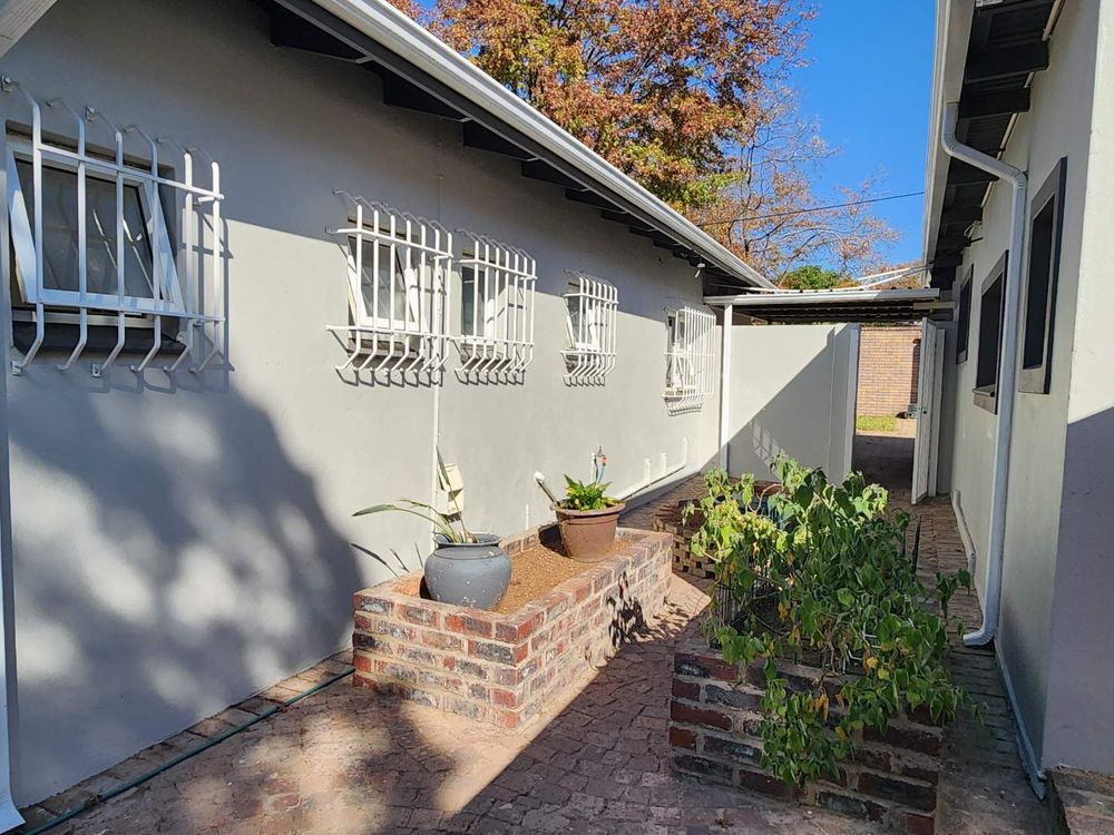 View of herb garden courtyard from shed.