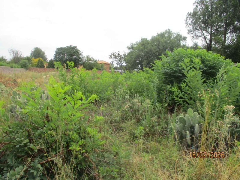 Enjoy the tranquility of Henley - Photo 5