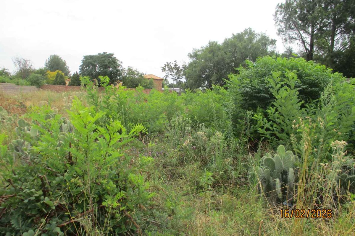 Enjoy the tranquility of Henley - Photo 5