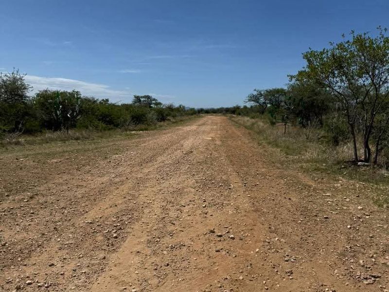 A view of the unpaved access road leading through the natural landscape of the farm property.