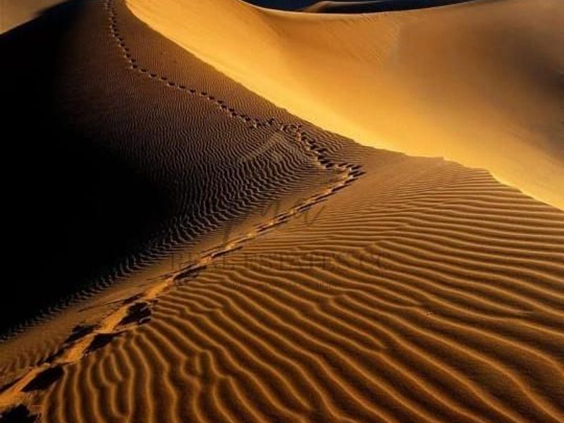 A scenic view of sand dunes, highlighting the natural landscape of the vacant residential land.