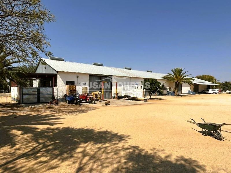 Industrial workshop, sheds and flat one one huge piece of land! - Photo 2