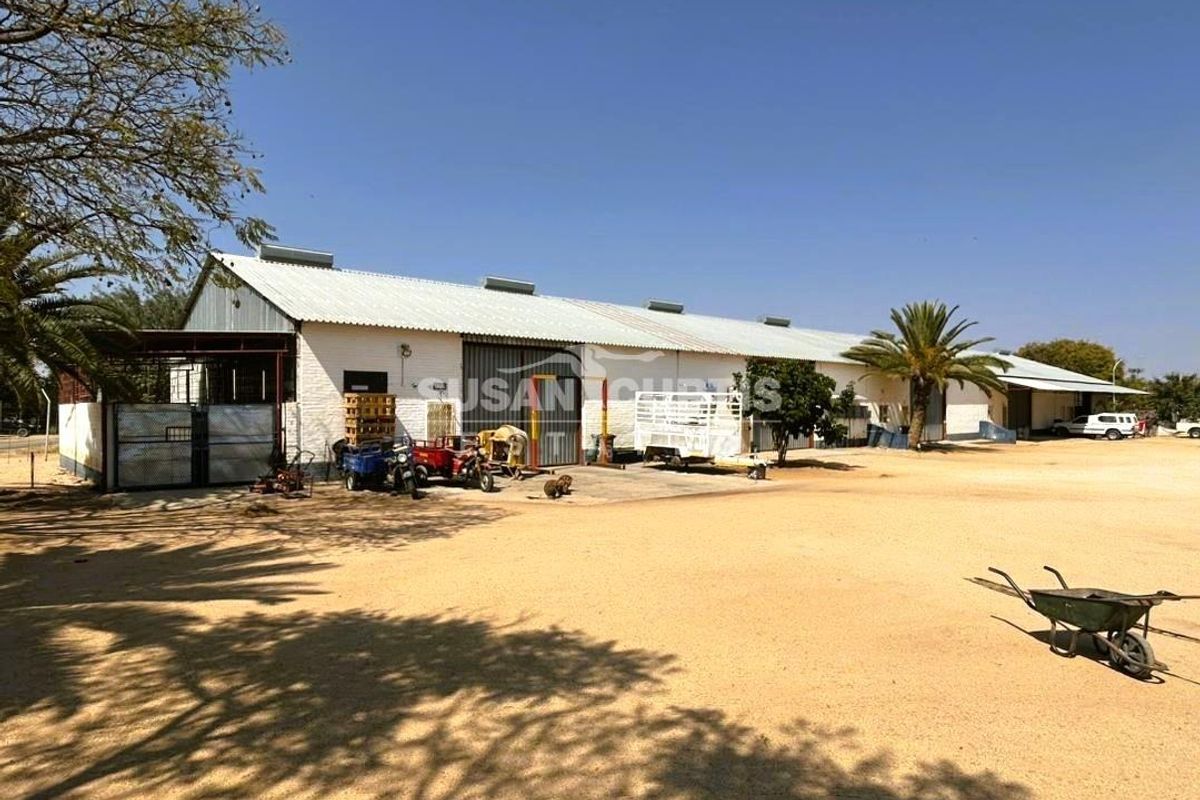 Industrial workshop, sheds and flat one one huge piece of land! - Photo 2