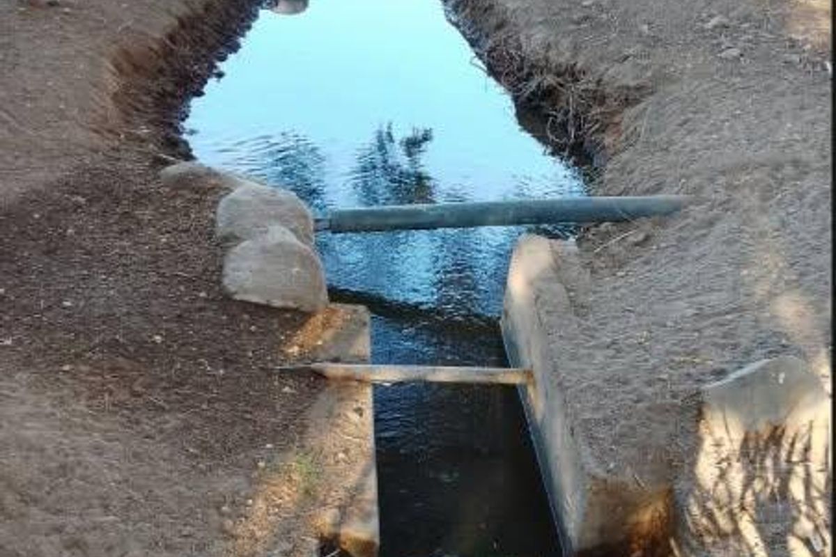 An outdoor irrigation water channel on the small holding, featuring earth banks and basic water conveyance infrastructure.