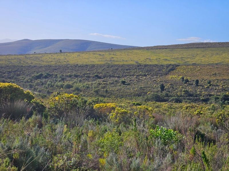 A Dream Come True - Photo 8