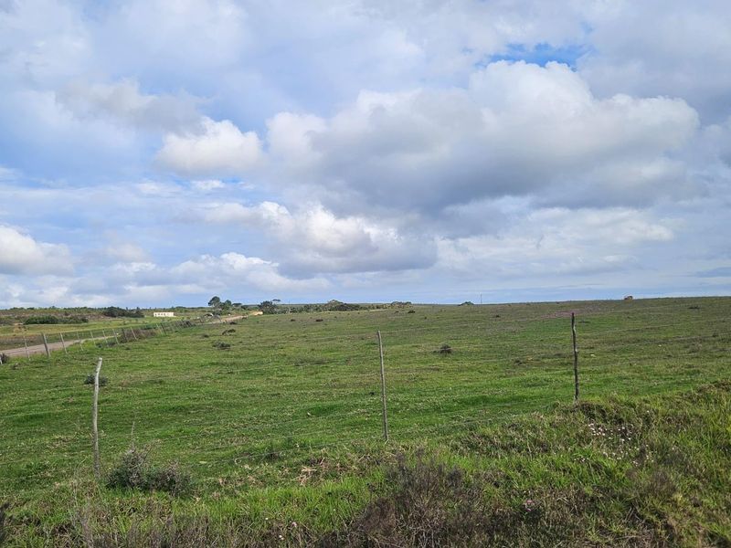 Get back-to-basics in beautiful B-Bos - Photo 2