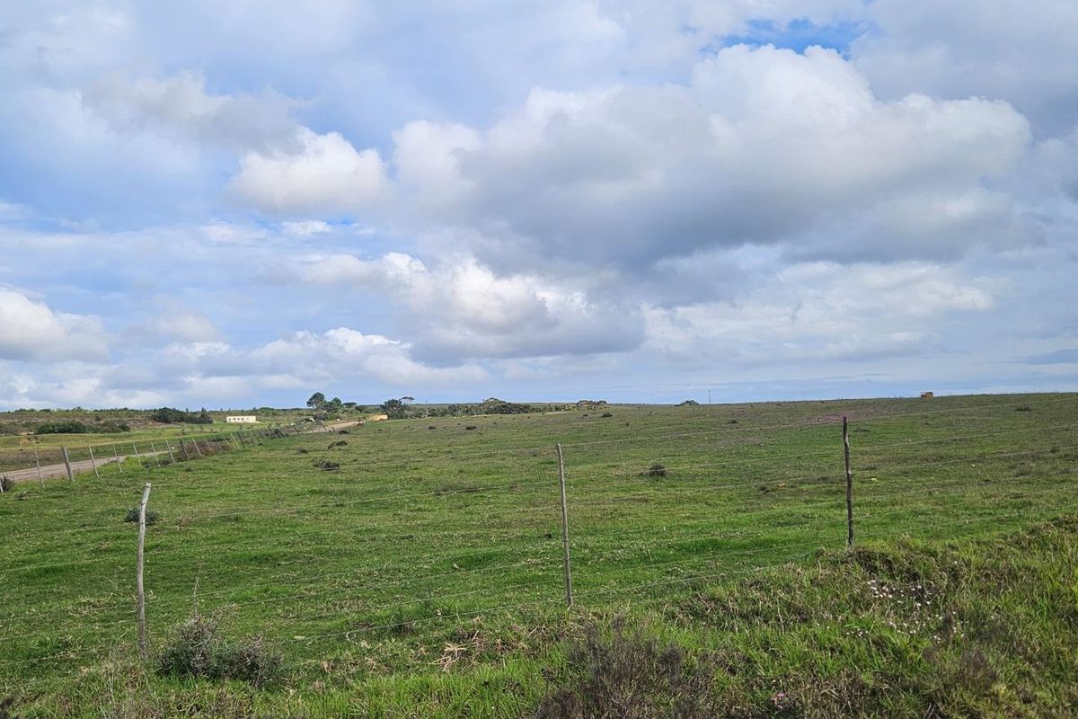 Get back-to-basics in beautiful B-Bos - Photo 2