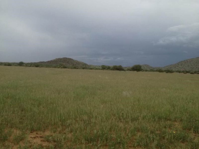 REDUCED!!! Farm south of Karibib 13 222 HA - Photo 8