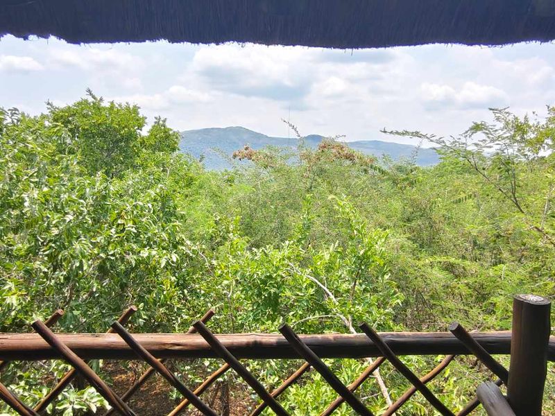 Exceptional Dual Living Property with Panoramic Views - Photo 3