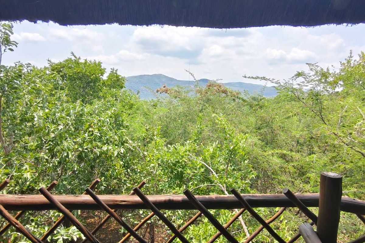 Exceptional Dual Living Property with Panoramic Views - Photo 3