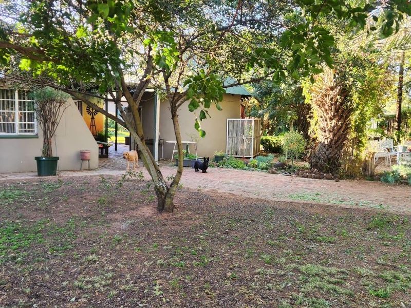 9.5 Hectares Farm for Sale - Do not miss this amazing opportunity it will not be around for long. - Photo 4