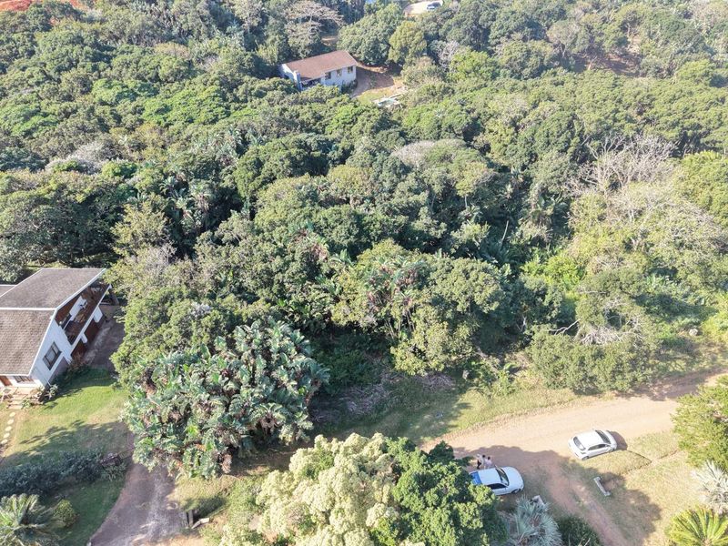 Aerial view of a vacant residential plot featuring dense natural vegetation and access via an unpaved road.