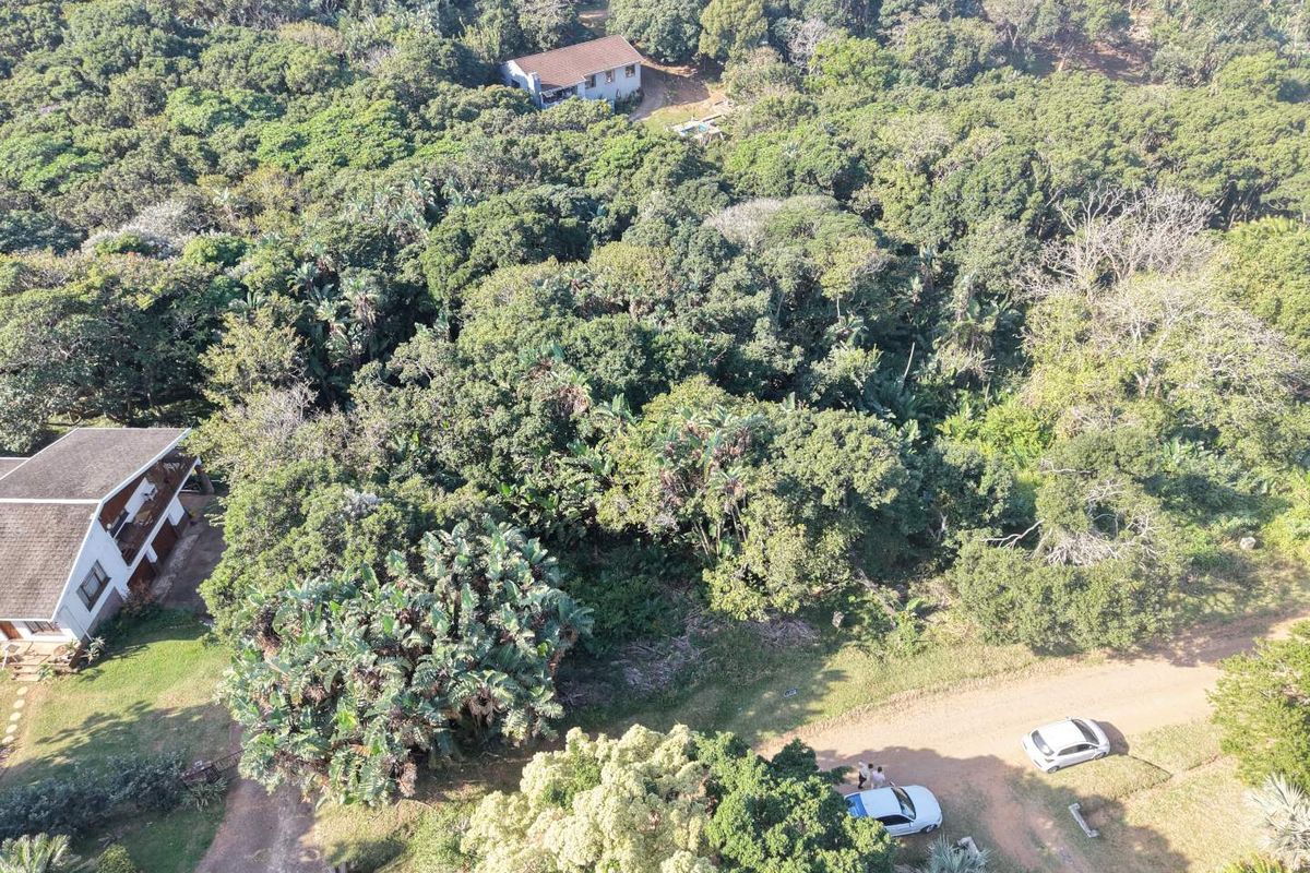 Aerial view of a vacant residential plot featuring dense natural vegetation and access via an unpaved road.