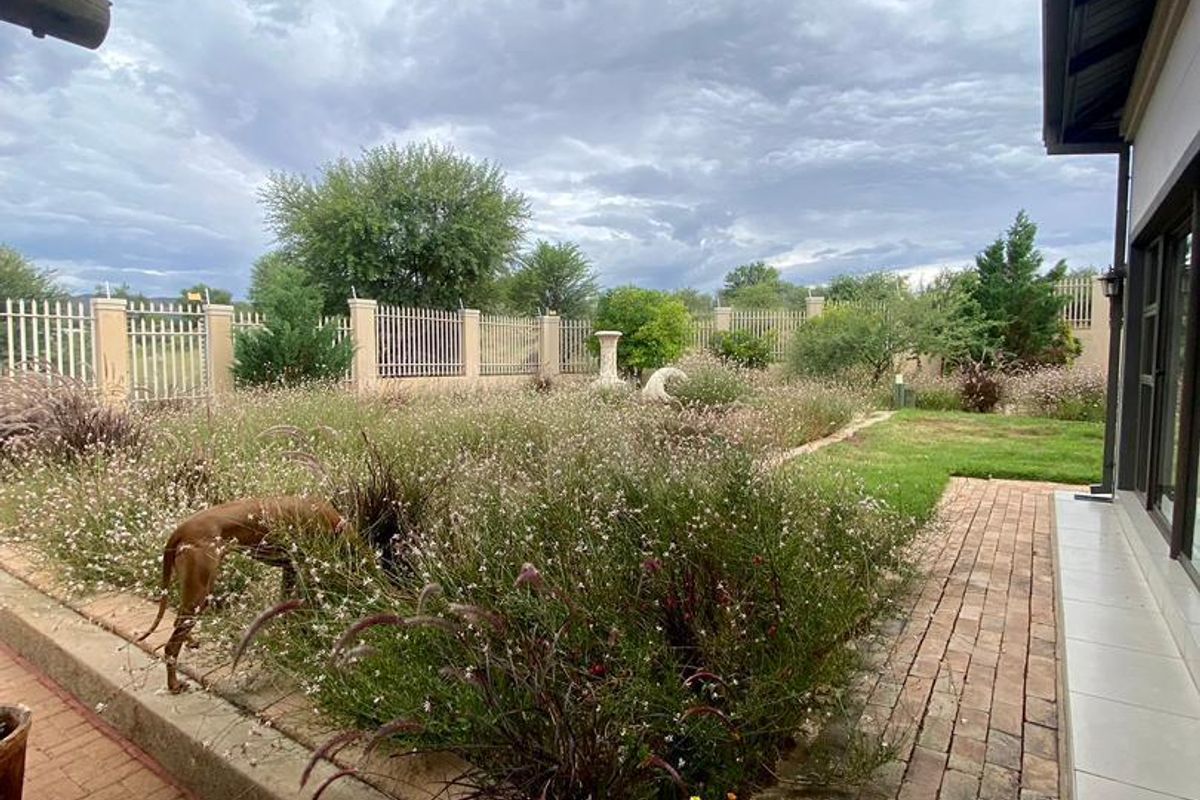 A rear garden view featuring a brick-paved patio area, raised garden beds with established landscaping, and perimeter security fencing.