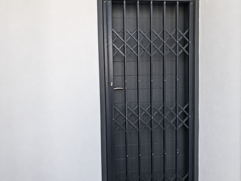 A secure entrance featuring a modern dark grey security gate and a matching solid core door set against a clean white wall.