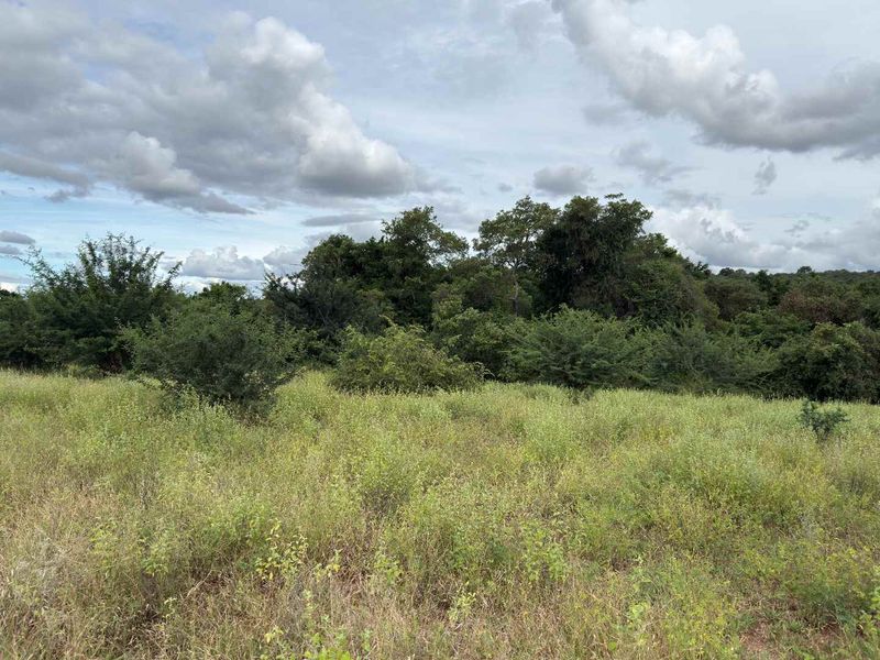 Rare vacant riverside stand in Elephant Rock Eco Estate - Photo 5