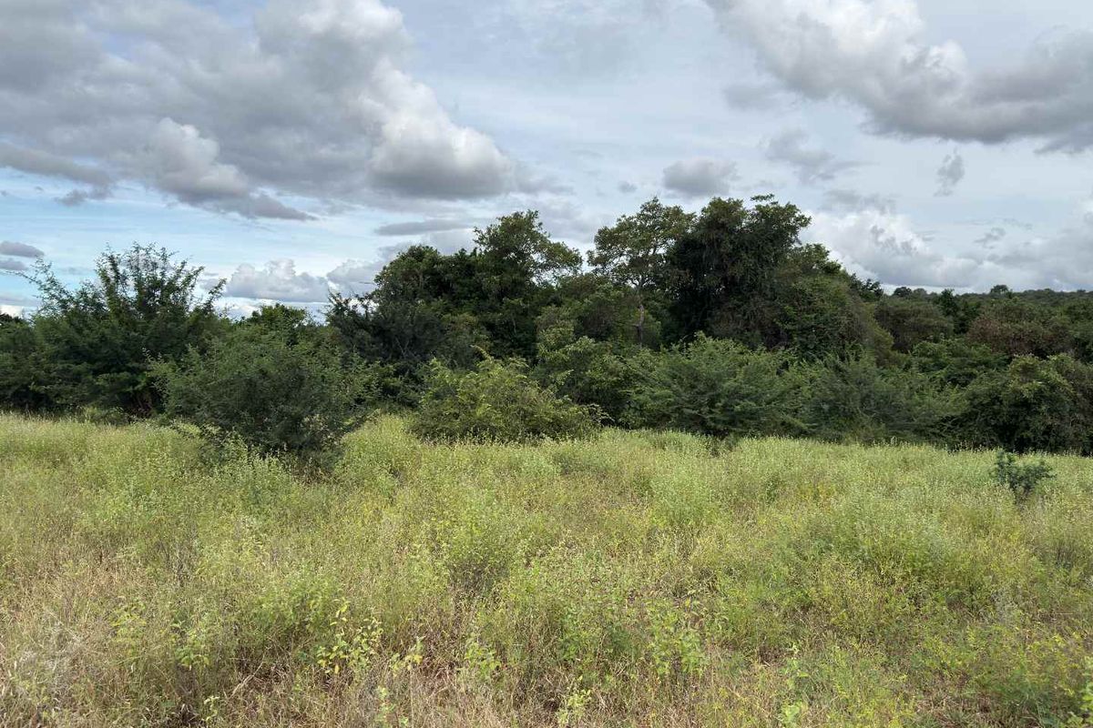 Rare vacant riverside stand in Elephant Rock Eco Estate - Photo 5