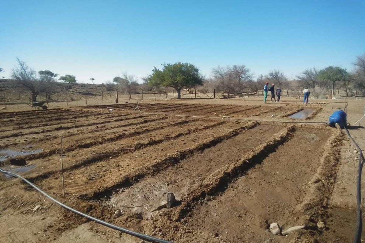 For Sale - Farm - Rehoboth district - Photo 5