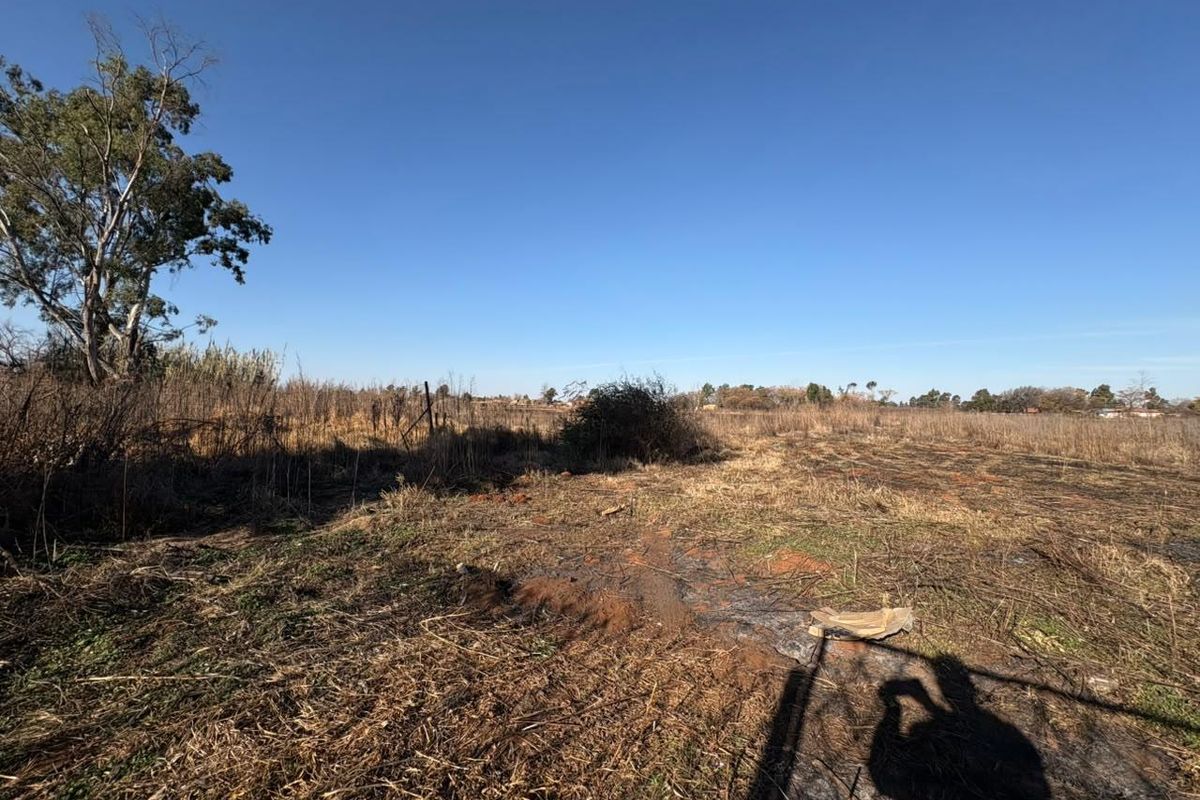 A wide-angle view of a vacant residential plot featuring dry, overgrown vegetation and mature trees under a clear blue sky.